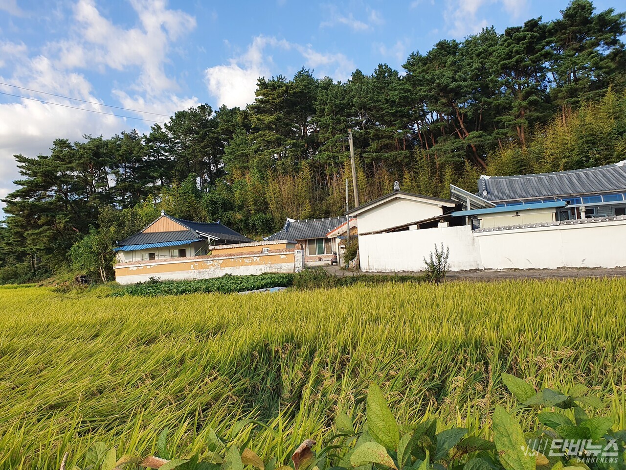 오문영 센터장이 살던 전라북도 남원의 시골집(왼쪽). 시골집은 동네 어귀 첫 번째 집이었다. ⓒ 오문영