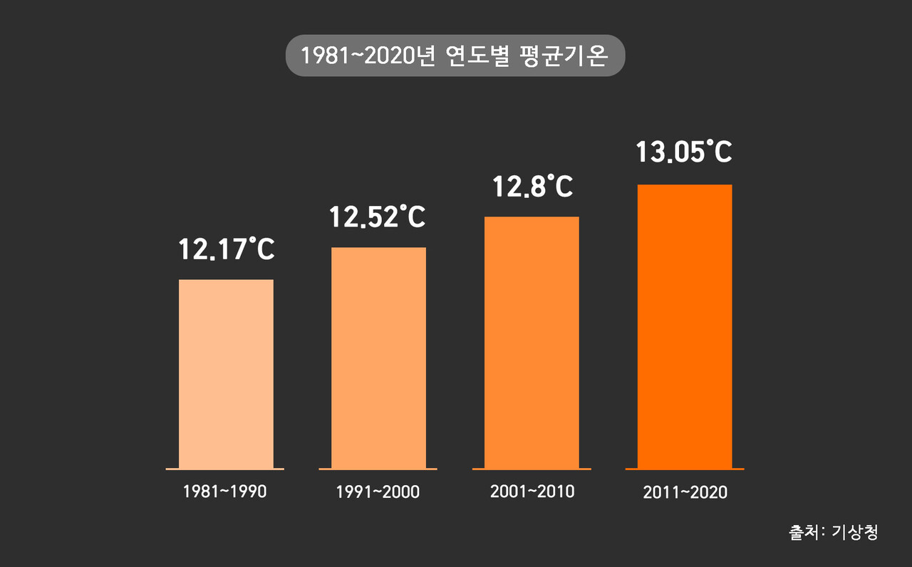 10년마다 약 0.3도씩 올라가고 있는 우리나라의 연평균기온. 그래픽 김은송