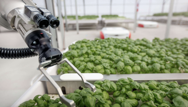 미국 애그테크 기업 '아이언옥스'의 농장. 온실에서 로봇을 활용해 농작물을 재배한다. 출처 아이언옥스