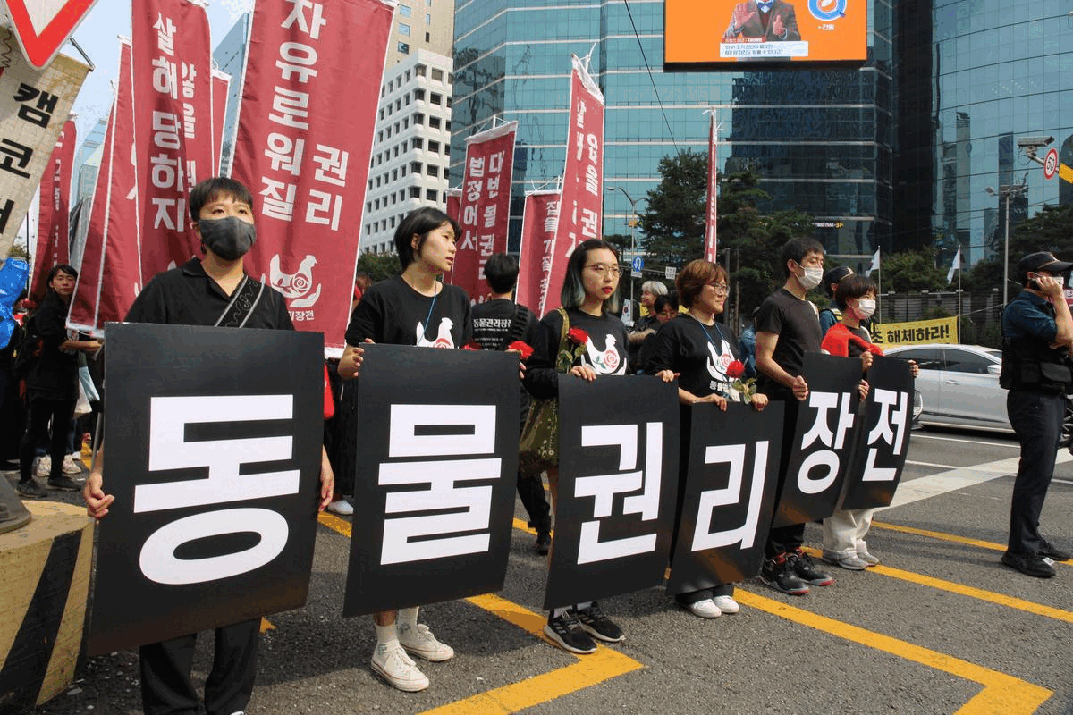 200여 명의 집회 참가자들이 지하철 2호선 강남역에서 출발, 두 정거장 떨어진 서초역으로 행진하고 있다. 목은수 기자