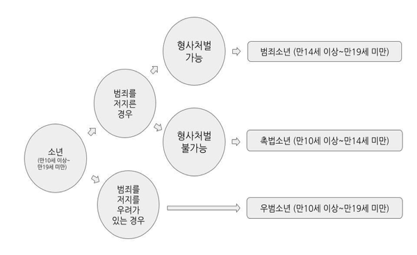 (그림 1) 범죄 여부 등에 따른 소년의 구분. 그래픽 나종인