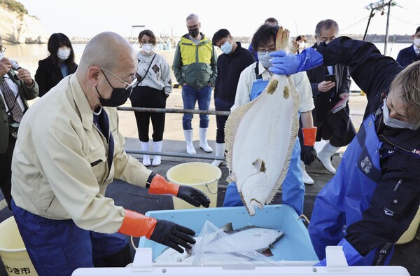 일본 정부가 내년 봄 후쿠시마 제1원전 내 오염수를 바다로 방류하기로 한 가운데 국제원자력기구(IAEA) 조사단이 지난 10일 후쿠시마현 이와키시 항구에서 채취된 물고기 샘플을 옮겨 담는 모습을 지켜보고 있다. 연합뉴스