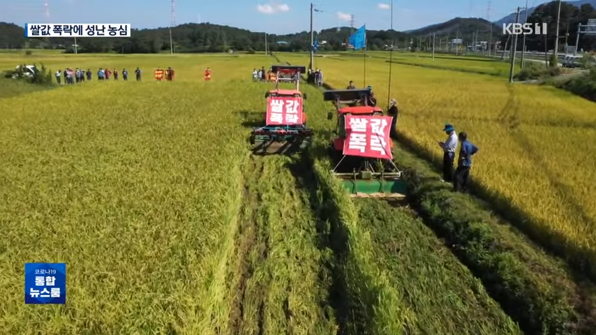 지난해 9월 충남 보령시의 한 논에서 농민이 농기계를 이용해 수확을 1개월여 앞둔 볏논을 갈아엎고 있다. KBS