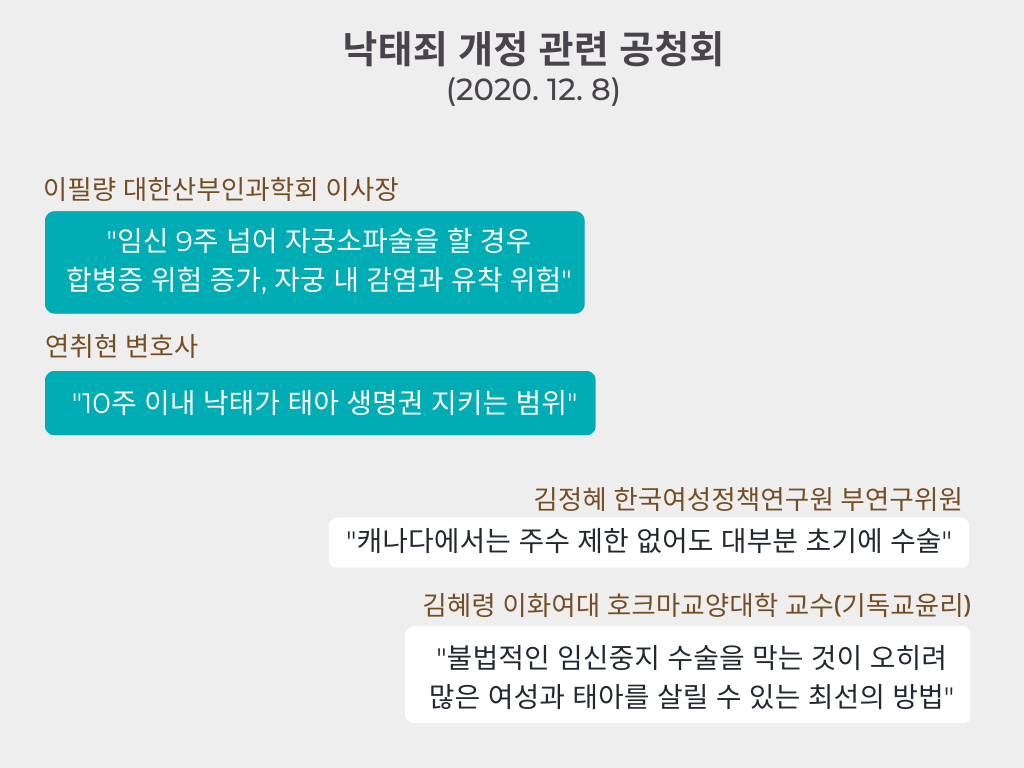 2020년 12월 8일 법사위에서 개최한 공청회에 참석한 전문가들의 의견. 그래픽 지수현
