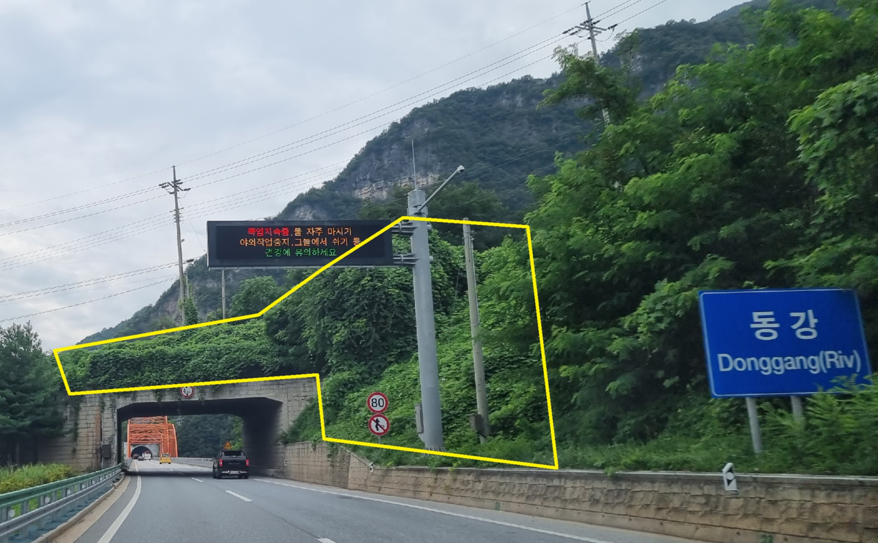 31번 국도 강원특별자치도 영월군 영월읍 덕포리 부근의 터널. 터널 입구 주변으로 칡덩굴이 빠른 속도로 번지고 있다.  최영길 기자