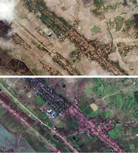 인딘 마을을 촬영한 위성 사진. 2017년 5월(위) 촬영된 사진에 주황색 지붕의 집이 많이 보인다. 2017년 9월(아래) 촬영된 사진에서 주황색 주택들이 모두 사라졌다. 로힝야족이 살던 집이었다. 출처 로이터