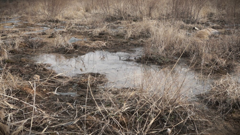 지난 19일 경기도 화성시 주곡리 산업폐기물 매립장 곳곳에 물이 고여 웅덩이가 만들어져 있다. 조벼리 기자
