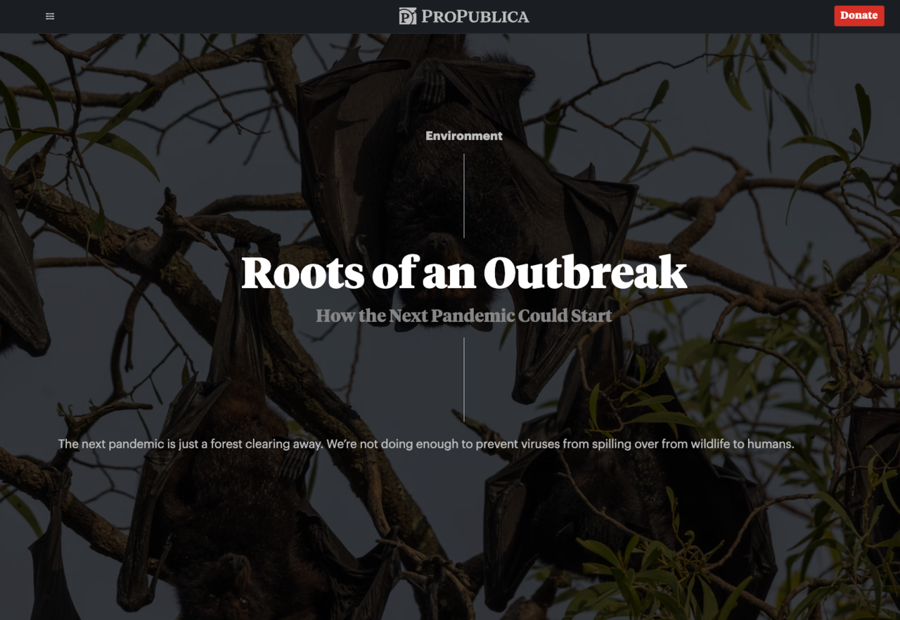 프로퍼블리카의 기사 ‘발병의 근원’(Roots of an Outbreak)의 대문 이미지. 프로퍼블리카 홈페이지 갈무리
