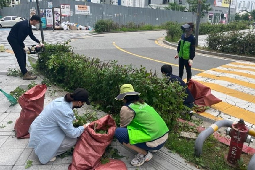 지난해 7월 세종시 고운동 실개천 산책로에서 시민 가로수돌보미들이 인도 주변의 잡초를 뽑고 있다. 세종시청 보도자료