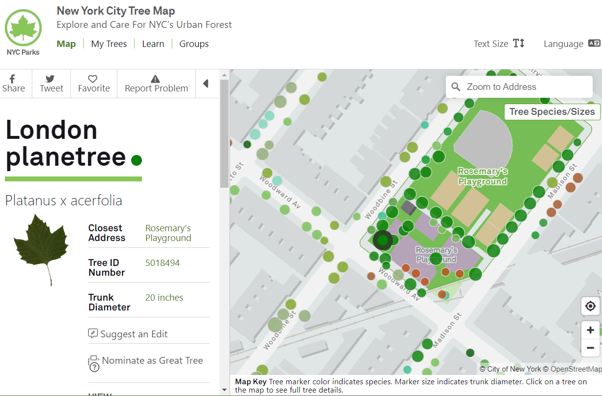 미국 뉴욕시 나무 지도에 지난 2015년부터 약 2년간 시민들이 조사한 나무 수종과 위치 등이 나와 있다. 뉴욕시 트리맵 갈무리