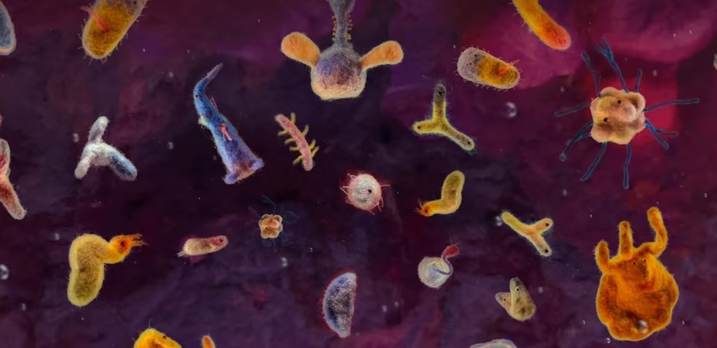 다양한 마이크로바이옴이 양모펠트로 표현되었다. 출처 넷플릭스