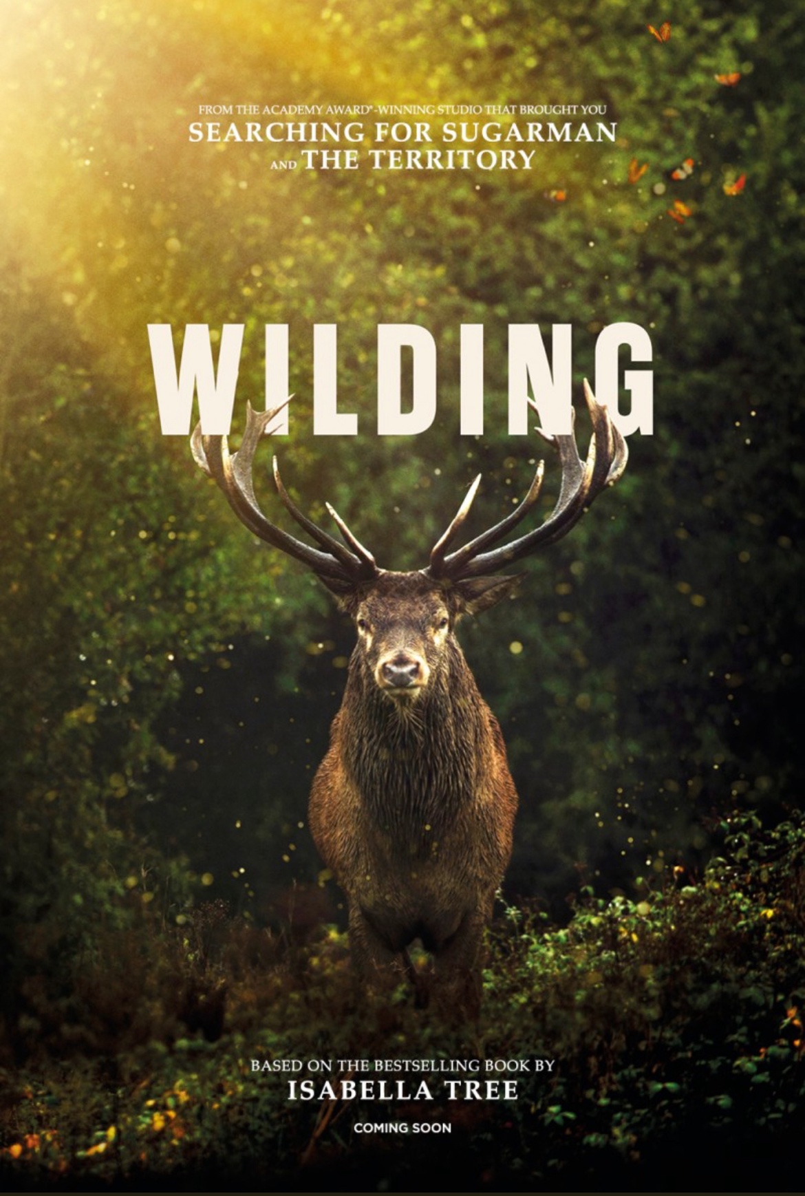 제21회 서울국제환경영화제 개막작으로 상형된 영화 ‘와일딩’의 포스터. 자연의 회복력을 발견하고 생물다양성 보전에 관한 희망을 제시한다. 출처 Passion Pictures