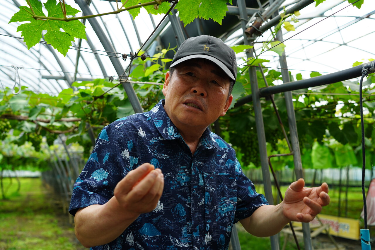 도덕현 대표가 대산농촌재단 연수생들에게 유기농 포도 재배 과정을 설명하고 있다. 김지영 기자