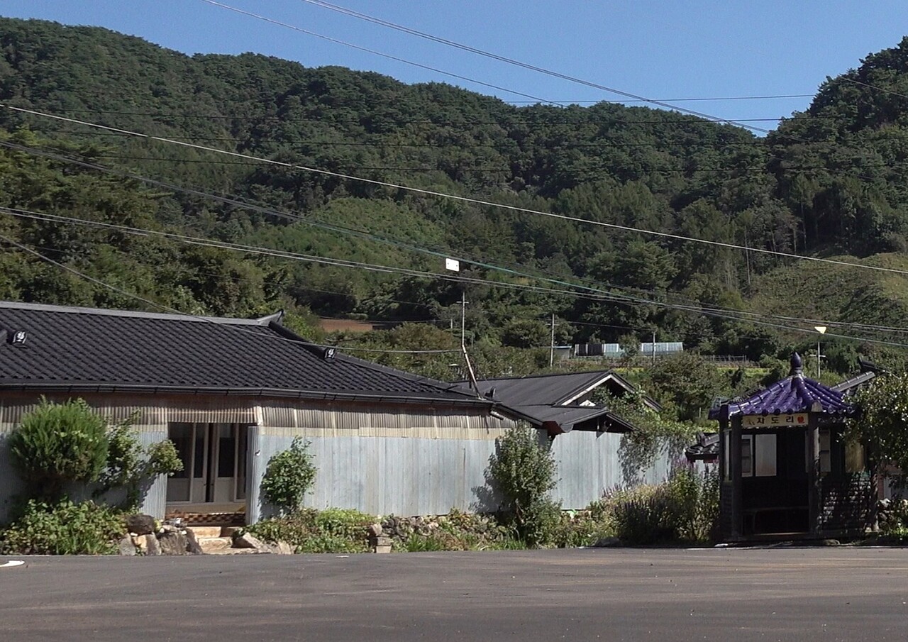 김범열(84) 씨의 집 바로 앞에 차도리 종점 버스 정류장이 있다. 주희 PD 