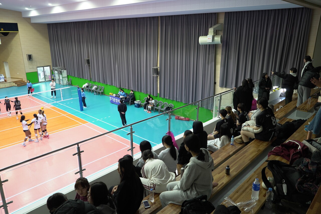 지난달 제천여중을 비롯한 제천시 4곳의 학교에서 열린 대한배구협회 유소년클럽 배구대회에 참가한 선수들이 다른 팀의 경기를 관람하고 있다. 양진국 PD