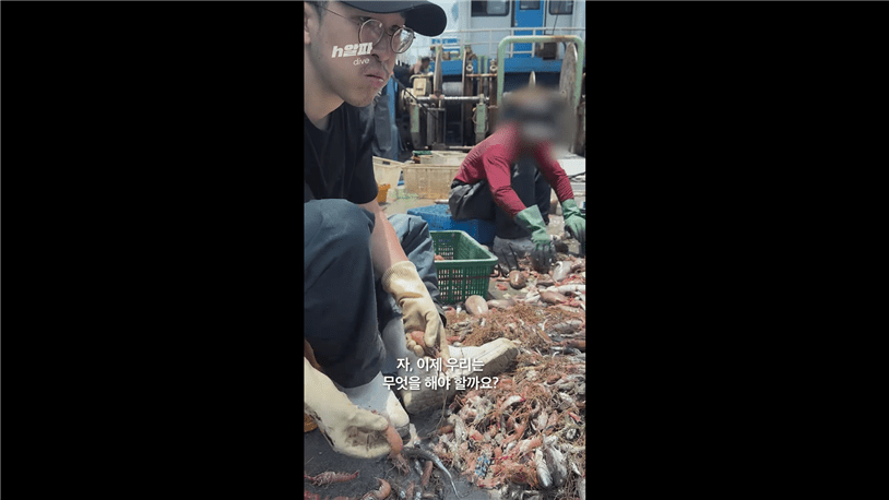 유대근 기자는 ‘607 영진호’에 직접 탑승해 딱새우와 붕장어를 함께 잡으며 선원들의 이야기를 들었다. 한국일보 유튜브 갈무리