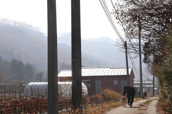 지난해 11월 퇴소 직전, 성탁은 로뎀 학교에서 기르는 개 ‘팬텀’과 마지막으로 산책했다. 시설 내 동물 돌봄을 맡았던 성탁의 별명은 ‘팬텀아빠’였다. 정윤채 기자