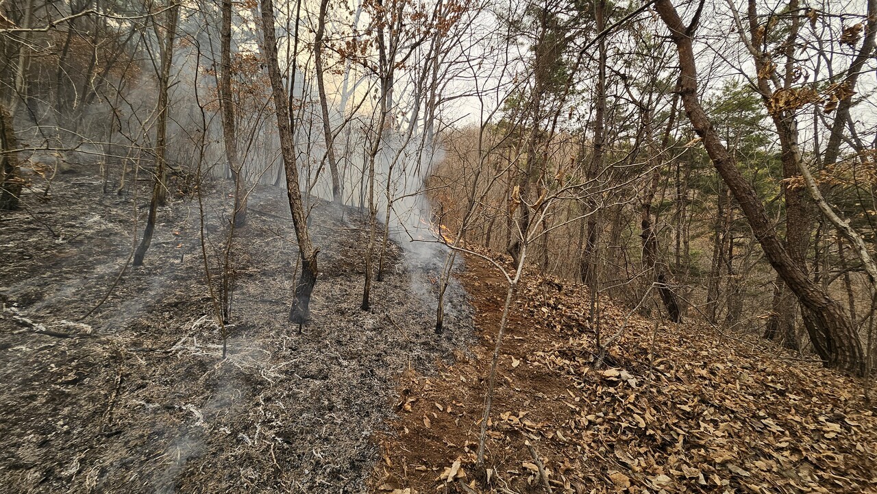 지난 3월 23일, 절골 인근에서 재성 씨와 예방진화대원 한 명이 갈퀴를 이용해 산불을 막아낸 후의 모습이다. 산불이 지나간 자리와 산불을 막아낸 자리가 확연하게 차이가 난다. 이재성 제공