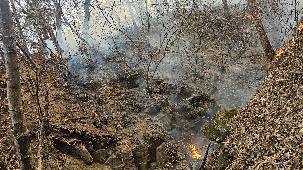 지난 3월 23일, 절골 인근에서 골짜기 아래에서 번지는 불을 갈퀴를 이용해 진화한 직후 모습이다. 이재성 제공