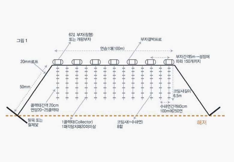 수하식 굴 양식을 설명한 개념도. 줄로 엮은 부표를 바다 위에 띄운 뒤 그 아래로 내린 줄에 어린 굴을 매달아 양성한다. 출처 굴수하식수협
