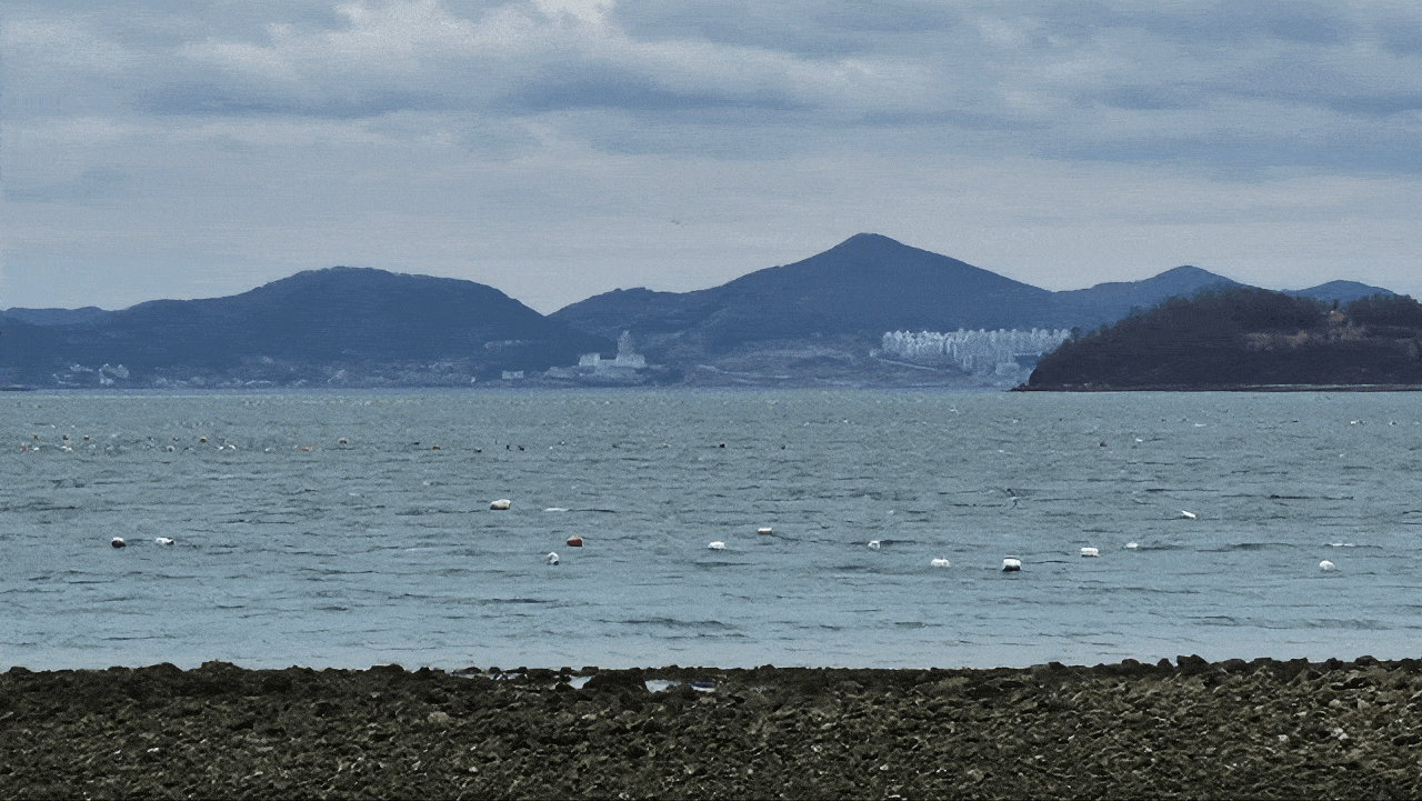 전남 여수시 돌산읍 금봉리 해변에서 100여 미터 떨어진 해수면에 떠 있는 부표들, 그리고 돌산읍 평사리 해변과 길가에 버려진 부표들. 박현석 기자