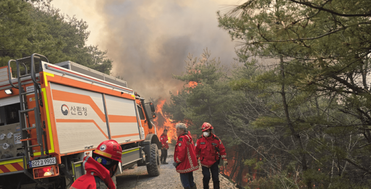 지난 3월 24일, 경북 의성 안평면의 한 야산에서 산불진화대원들이 임도 양쪽에 난 불을 끄고 있다. 김경훈 씨 제공