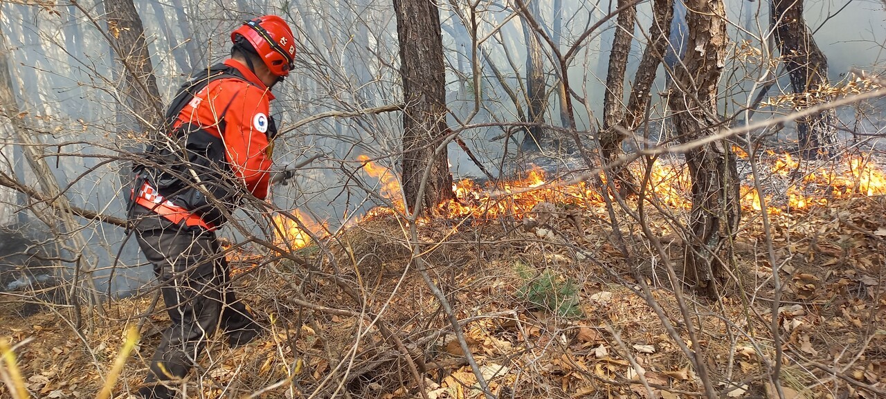 지난 3월 25일 오후 2시, 경북 의성 안평면 기도리 박실골 일대 야산에서 특수진화대원이 갈퀴로 불을 끄고 있다. 이재성 씨 제공