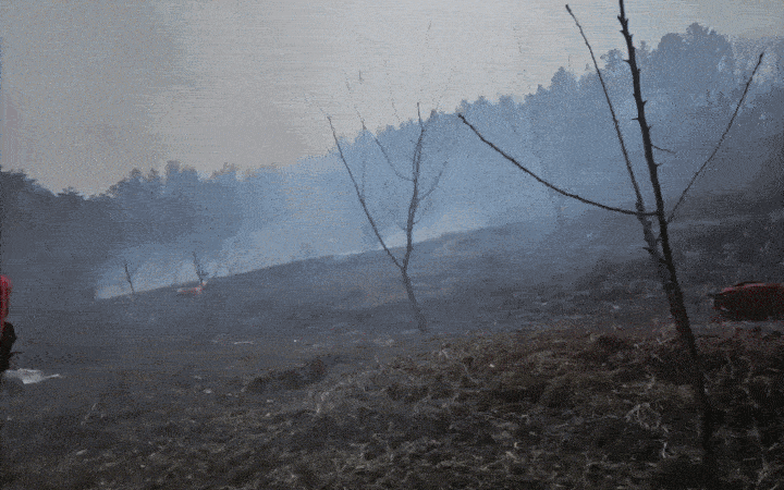 지난 3월 25일 낮 12시 30분, 경북 의성 안평면 기도리의 한 야산 입구에 위치한 과수원에서 특수진화대원들이 호스를 이용해 산불을 끄고 있다. 이재성 씨 제공