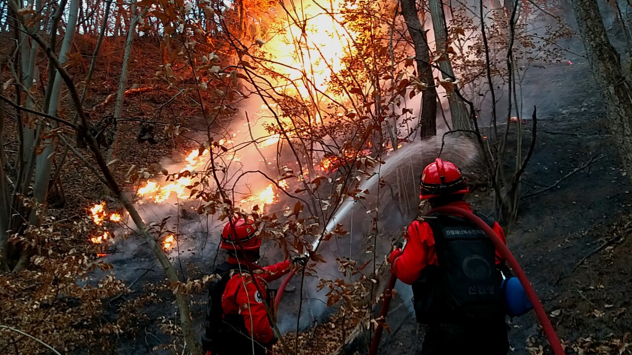 3월 27일 오후 5시, 경북 안동시 일직면 원호리 야산에서 산불재난특수진화대원들이 호스를 이용해 산불을 진화하고 있다. 이재성 씨 제공