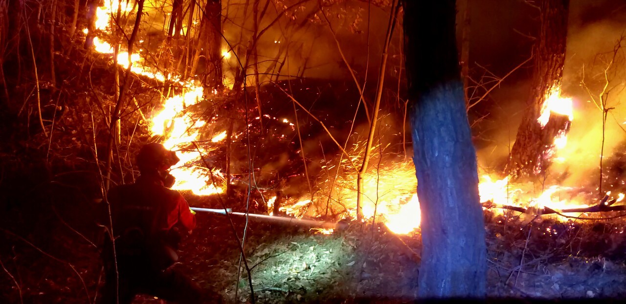 3월 27일 오후 10시, 경북 안동시 일직면 원호리의 한 야산에서 호스를 이용해 산불을 진화하고 있는 이재성 씨의 모습이다. 이재성 씨 제공