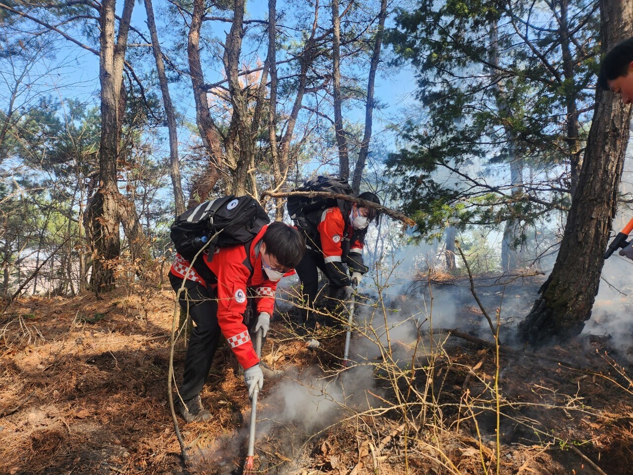 지난 3월 30일, 경북 청송 노래리의 한 야산에서 산림청 소속 공무원들이 갈퀴와 등짐펌프를 이용해 잔불 진화를 하고 있다. 이재성 씨 제공