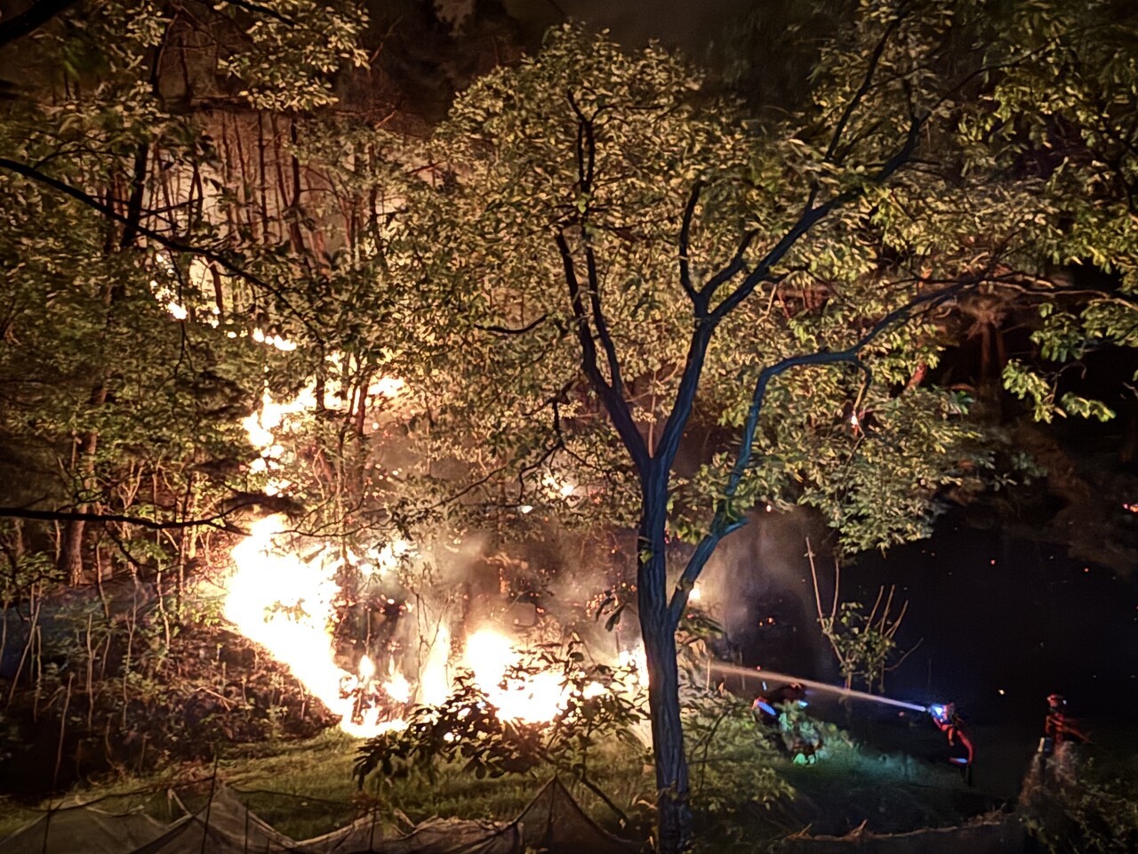 지난 4월 28일 오후 11시 40분경, 구미국유림관리소 대원들이 대구광역시 북구 함지산의 산불을 끄고 있다. 이날 영주국유림관리소 특수진화대원들은 구미국유림관리소, 양산국유림관리소 대원들과 함께 산불을 진화했다. 이재성 씨 제공