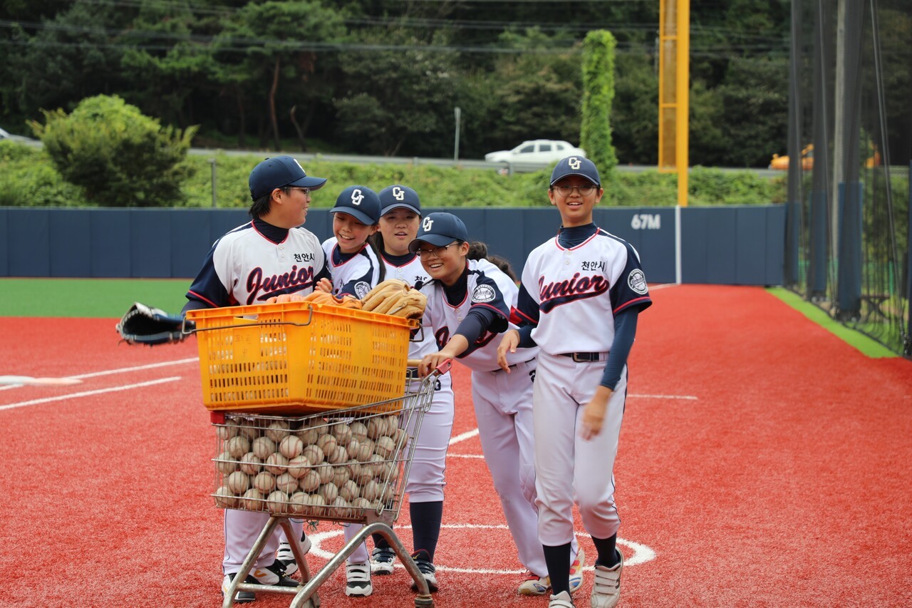 지난달 3일 천안 주니어 여자야구단 선수들이 천안 리틀 야구장에서 공을 옮기고 있다. 전설 기자