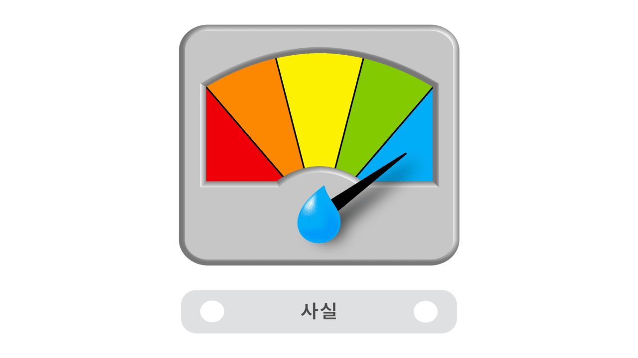 단비뉴스, IFCN 인증받았다?